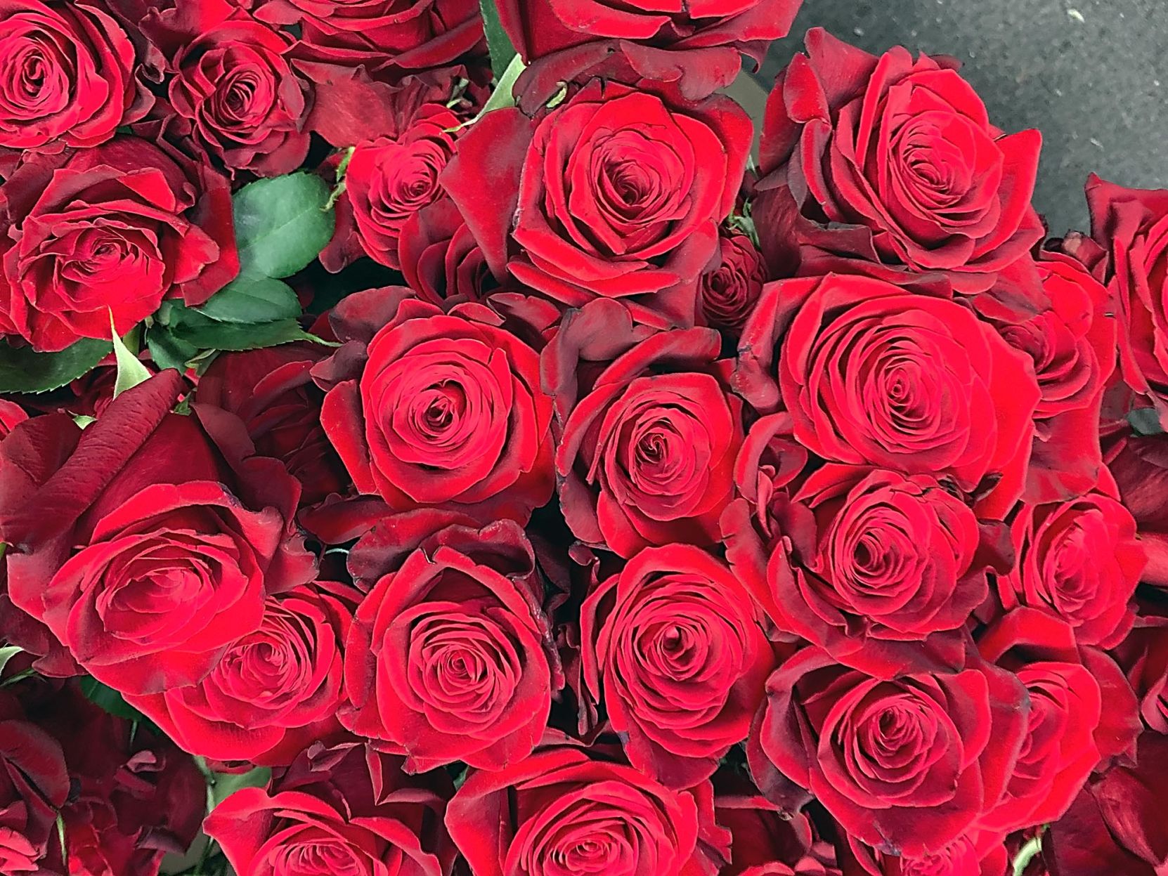 Valentine's flowers 6